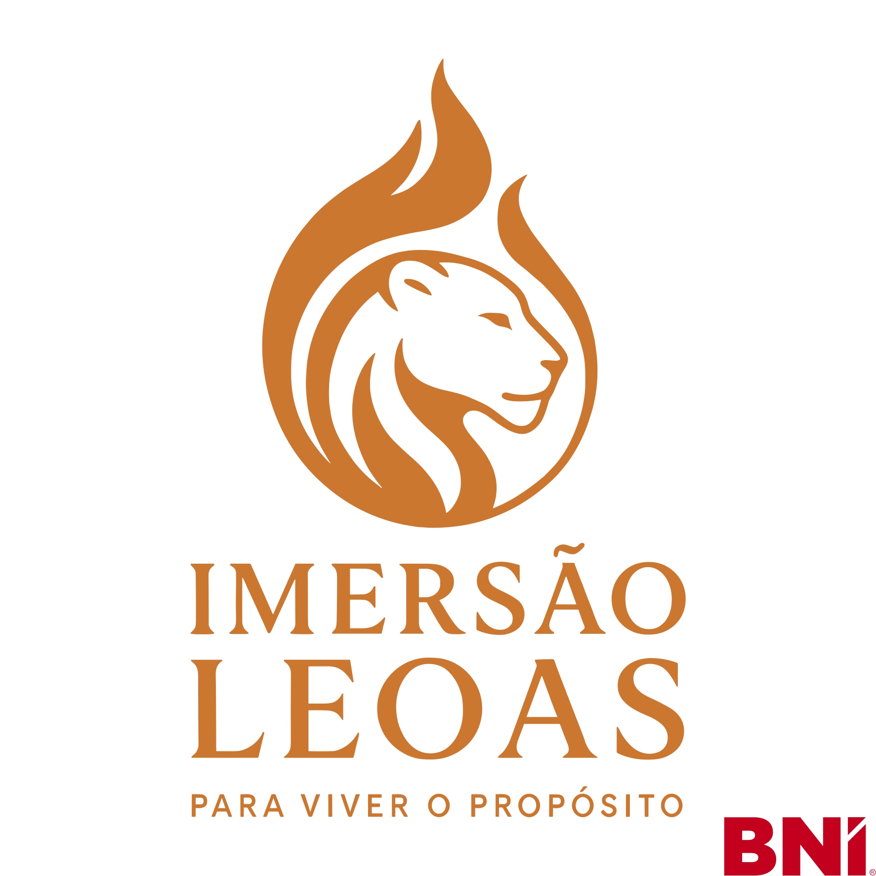 Imersão Leoas
